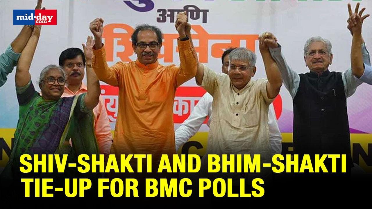 Shiv Sena (UBT) Tie-Up With Vanchit Bahujan Aghadi Ahead Of BMC Polls